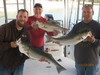 (11/13/2016) - Nice Striped Bass